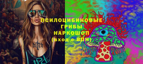 гашик Алзамай
