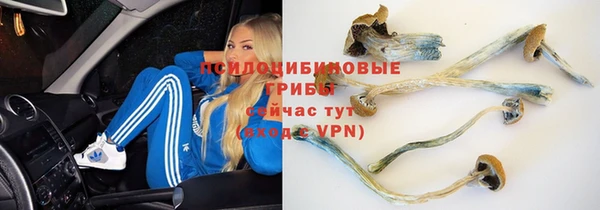apvp Алексеевка