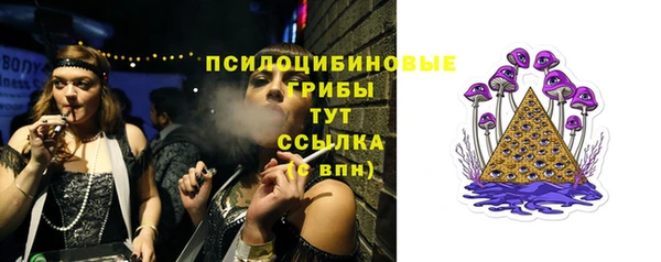 таблы Алексин